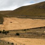 landscape andean ecuador