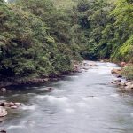 rio pachijal pedro vicente maldonado pichincha ecuador