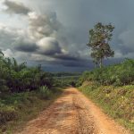 tormenta lluvia bosque humedo tropical ecuador
