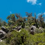 cascada condor machay bosque roca